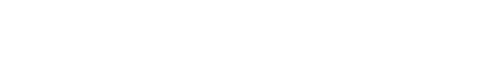 e-confirm Logo
